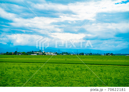 大崎市の田園風景と青空 70622181