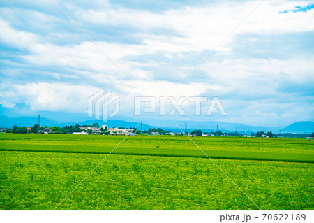 大崎市の田園風景と青空 70622189
