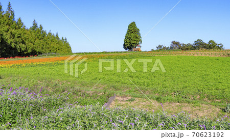 メナード青山リゾート　秋の花々が咲くハーブ園 70623192