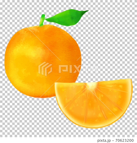 橙 70623200