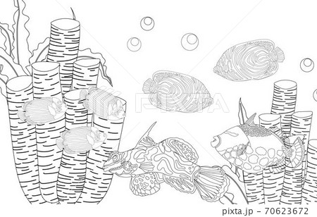 Coloring page fish. Sea life. Undersea world. illustration. 70623672