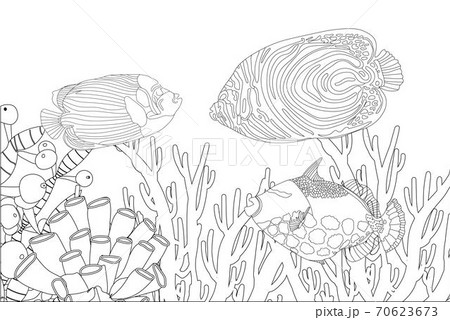 Fish exotic coloring. Antistress coloring page. Sea creatures. Ocean fish. illustration 70623673