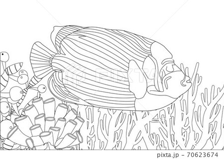 Fish exotic coloring. Antistress coloring page. Sea creatures. Ocean fish. illustration Fish exotic coloring. Antistress coloring page. Sea creatures. Ocean fish. illustration 70623674