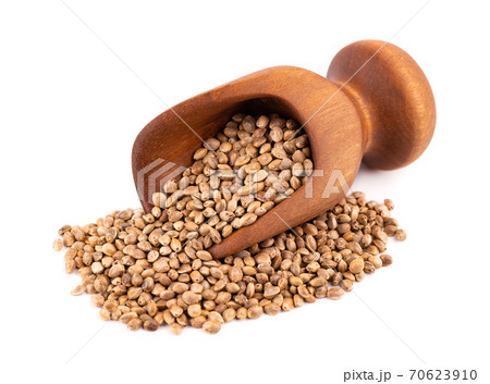 Hemp seeds isolated on white background. Dry seeds of cannabis, hemp or marijuana in wooden scoop. 70623910