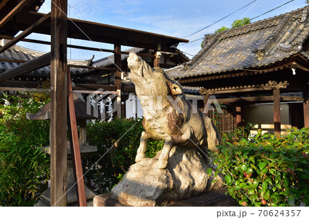 京都・摩利支尊天堂の狛亥 70624357