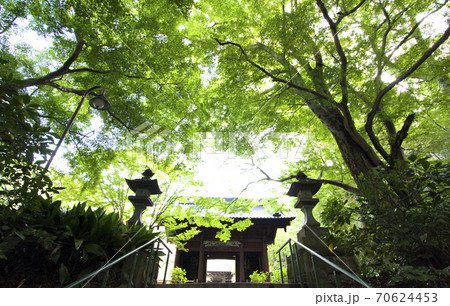 鎌倉妙本寺 鎌倉妙本寺 70624453