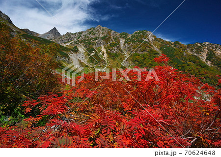 紅葉のナナカマドの天狗原から槍ヶ岳を望む 紅葉のナナカマドの天狗原から槍ヶ岳を望む 70624648