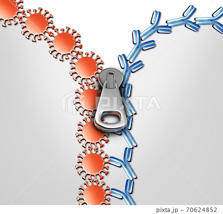 Antibody Immune Therapy Concept 70624852
