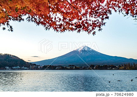Colorful Autumn in Mount Fuji, Japan - Lake Kawaguchiko is one of the best places in Japan to enjoy Mount Fuji scenery of maple leaves changing color giving image of those leaves framing Mount Fuji. Colorful Autumn in Mount Fuji, Japan - Lake Kawaguchiko is one of the best places in Japan to enjoy Mount Fuji scenery of maple leaves changing color giving image of those leaves framing Mount Fuji. 70624980