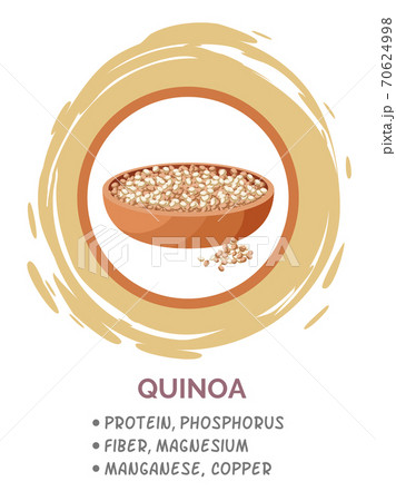 Quinoa grains in bowl, useful products when breastfeeding child. Flat vector logo image on white Quinoa grains in bowl, useful products when breastfeeding child. Flat vector logo image on white 70624998
