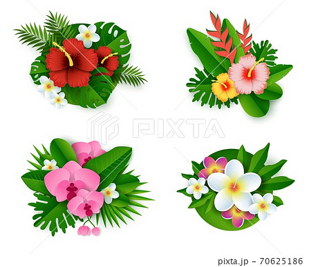 Floral tropical composition set, vector isolated illustration in paper art style. Exotic flowers and plants bouquets. Floral tropical composition set, vector isolated illustration in paper art style. Exotic flowers and plants bouquets. 70625186