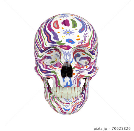 Spotted Flower Skull Isolated On White のイラスト素材