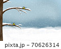Titmouses Sit on Snow Covered Branches 70626314