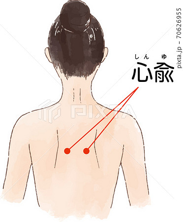 ツボ・経穴「心兪」の手描き風イラスト 70626955