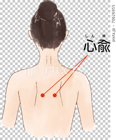 ツボ・経穴「心兪」の手描き風イラスト 70626955
