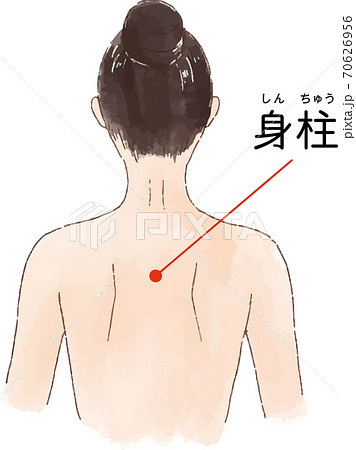 基本人体ツボ経絡図 - 本