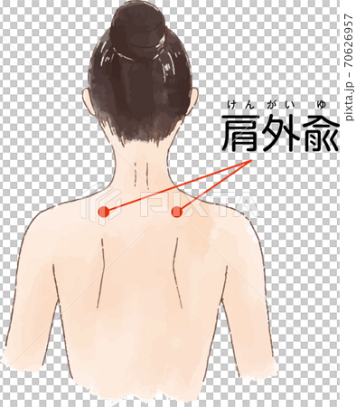 ツボ・経穴「肩外兪」の手描き風イラスト 70626957