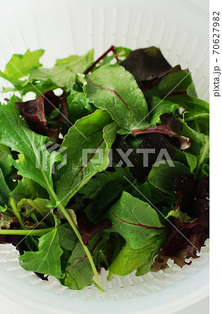 水洗いしたミックスリーフ 水洗いしたミックスリーフ 70627982