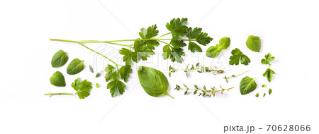 Green fresh aromatic herbs pattern isolated on white background. Top view. Green fresh aromatic herbs pattern isolated on white background. Top view. 70628066