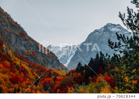Rocky mountains and autumnal forest. High mountain landscape 70628344
