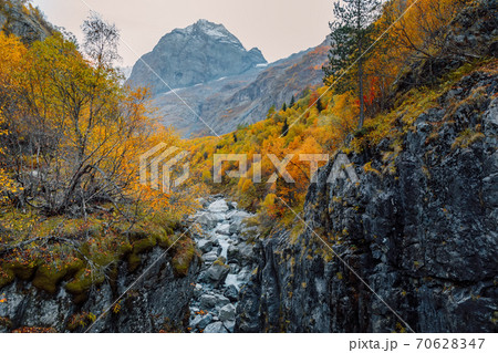 Rocky mountains, canyon and autumnal trees. High mountain landscape with river 70628347