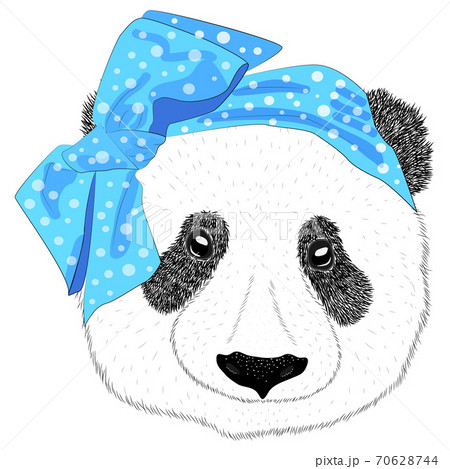A hand drawn illustration of the head of a panda girl with a bow in the style of the 60s. Isolated cute fashion portrait A hand drawn illustration of the head of a panda girl with a bow in the style of the 60s. Isolated cute fashion portrait 70628744