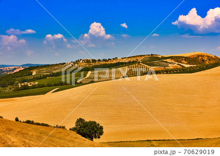 Orcia valley landscape Tuscany landscape Italy landmark 70629019