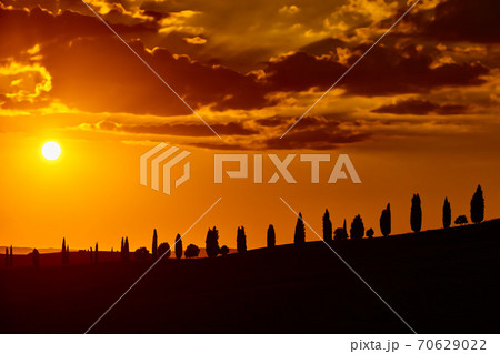 Cypress trees hill sunset valley Orcia Tuscany landscape Italy landmark Cypress trees hill sunset valley Orcia Tuscany landscape Italy landmark 70629022