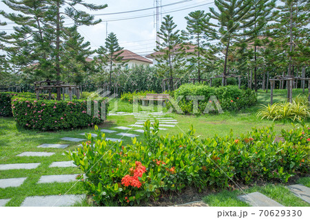 Stone walkway in the garden in bangkok thailand Stone walkway in the garden in bangkok thailand 70629330