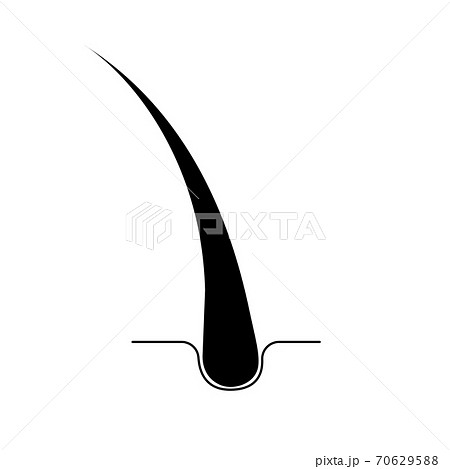 Hair treatment icon isolated vector symbol Hair treatment icon isolated vector symbol 70629588