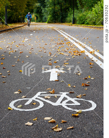 Bike path in autumn. Marking on the asphalt. Bike path in autumn. Marking on the asphalt. 70630292