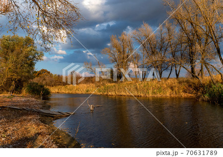 Beautiful nature and autumn landscape with yellow trees on bank of Don river Beautiful nature and autumn landscape with yellow trees on bank of Don river 70631789