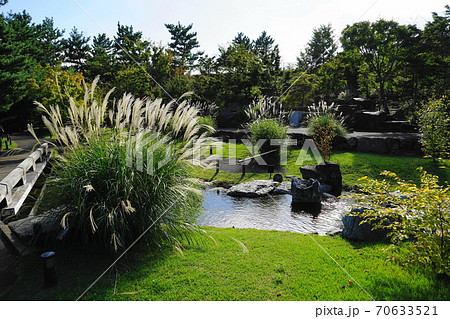 10月 世田谷230帰真園・二子玉川公園(世田谷区立) 10月 世田谷230帰真園・二子玉川公園(世田谷区立) 70633521