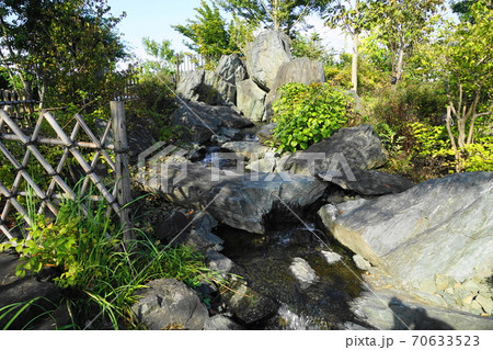 10月 世田谷228帰真園・二子玉川公園(世田谷区立) 10月 世田谷228帰真園・二子玉川公園(世田谷区立) 70633523