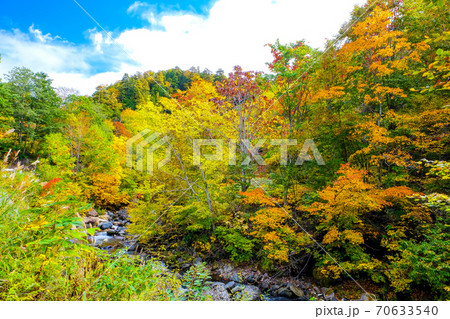 秋の照葉渓谷 秋の照葉渓谷 70633540