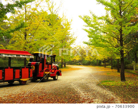 ミューズパーク　　銀杏並木 70633900