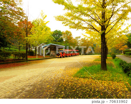 ミューズパーク 銀杏並木 ミューズパーク 銀杏並木 70633902