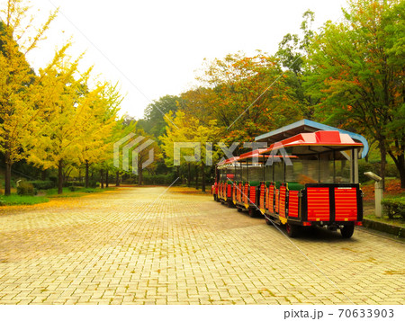 ミューズパーク　　銀杏並木 70633903