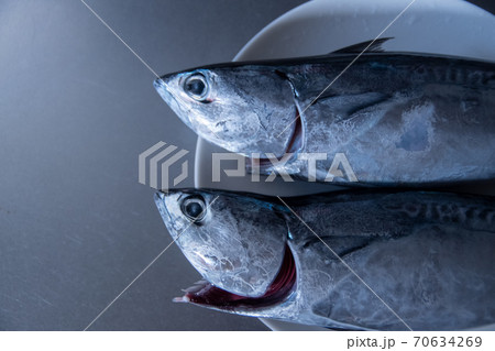 食材 カツオ2匹 アップ 食材 カツオ2匹 アップ 70634269
