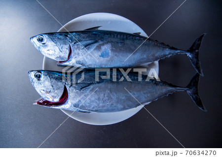 食材 カツオ2匹の写真素材
