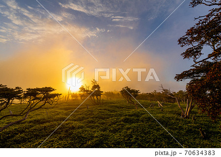 霧の大台ケ原 70634383