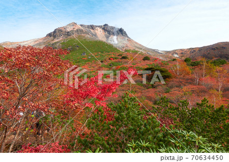 姥が平から望む紅葉の茶臼岳 70634450