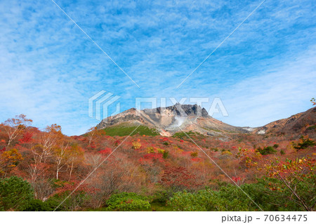 姥が平から望む紅葉の茶臼岳 70634475