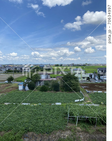 田園風景と住宅街(埼玉県川越市) 70634997