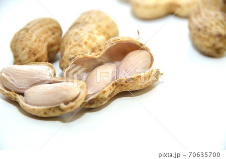 秋に収穫する生落花生を塩ゆでしたもの・秋の味覚・塩ゆでピーナッツ 秋に収穫する生落花生を塩ゆでしたもの・秋の味覚・塩ゆでピーナッツ 70635700