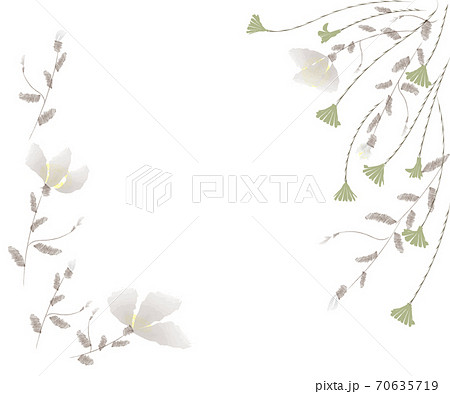 野花の白い花と緑の静かなフレーム 野花の白い花と緑の静かなフレーム 70635719
