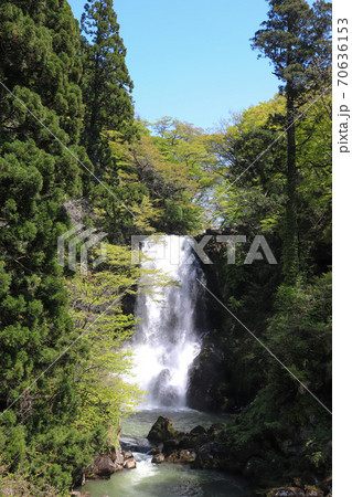 奈曽の白滝(秋田県にかほ市) 奈曽の白滝(秋田県にかほ市) 70636153