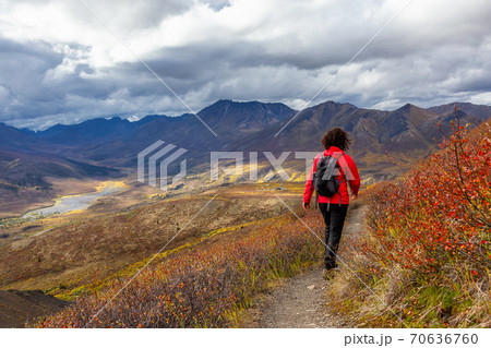 Scenic View of Woman Hiking on a Cloudy Fall Day 70636760