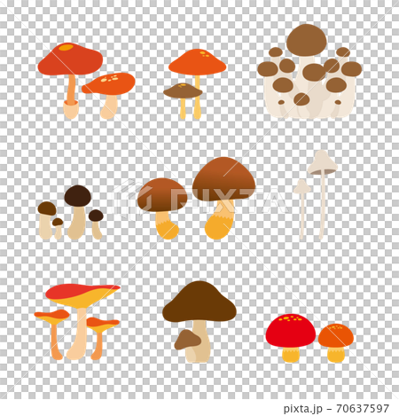 Mushroom illustration set 70637597