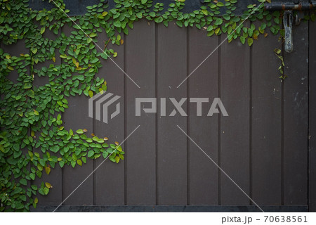 Wood and leaf texture background 70638561
